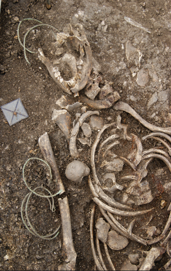 Archeologický výzkum lokality Nesvětice – centrální pohřebiště